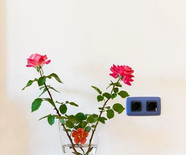 Apartmán Bosa Apartments